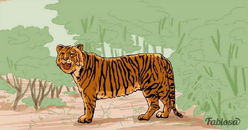 Ternyata Disini Harimau Yang Tersembunyi, Jawaban Teka-Teki Gambar