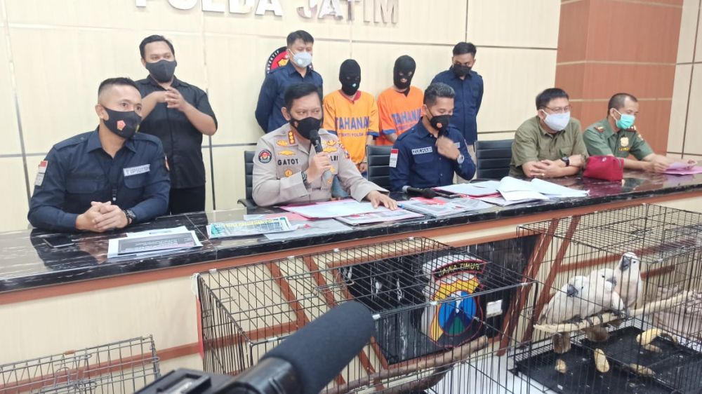 Ditreskrimsus Polda Jatim Berhasil Ringkus Penjual Satwa Dilindungi