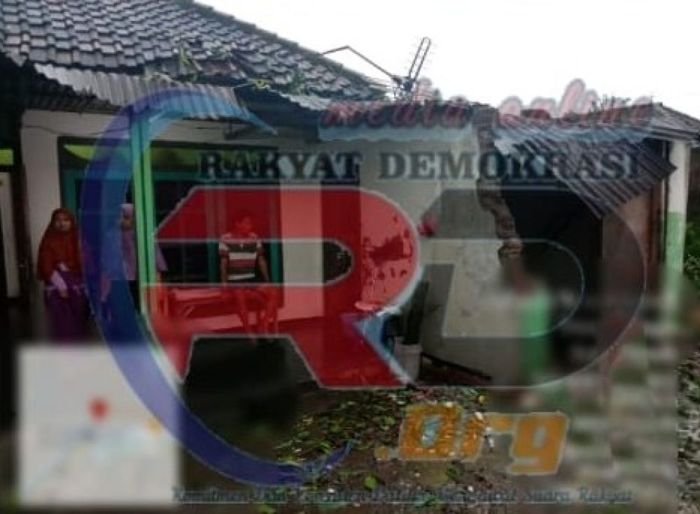 Pohon Mangga Tumbang Mengenai Warung Warga Desa Penambangan Sidoarjo