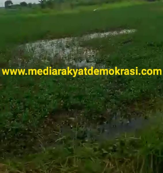 RSU Sidoarjo Barat Diduga Acuhkan Permen Dan UU Rumah Sakit