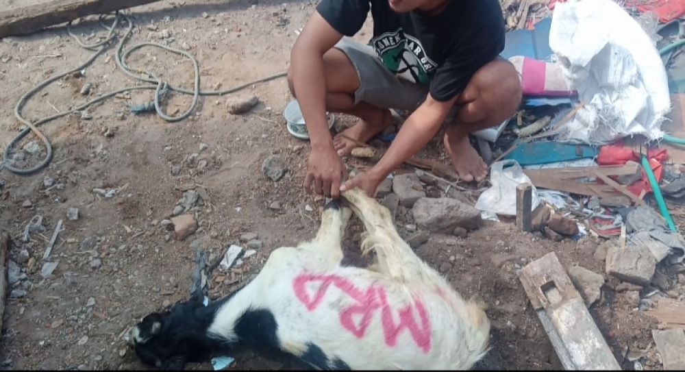 Hukum Berqurban Untuk Keluarga Yang Sudah Meninggal