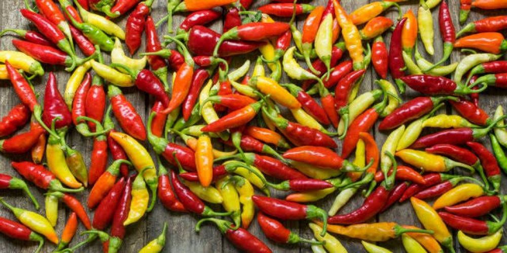 Alhamdulillah, Harga Cabai Sudah Dibawah Rp 70 Ribu Per Kilo