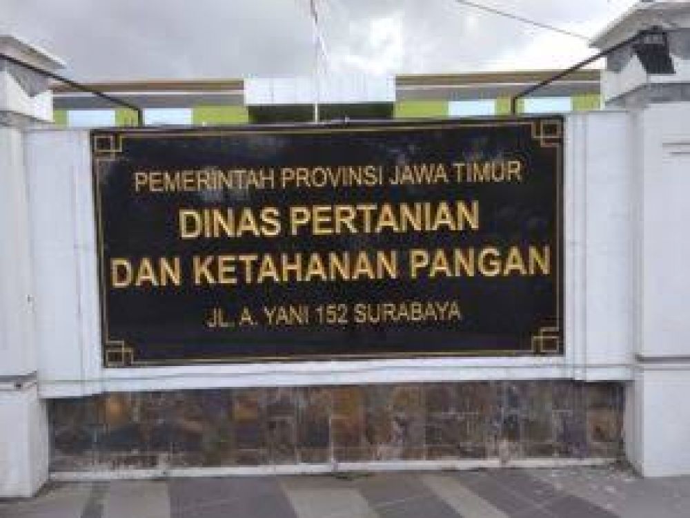 DPKP Jatim Anggarkan 500 Juta Lebih Untuk Ratusan Jasa Keamanan