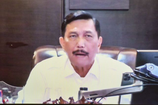 Upss, Luhut Minta PLN Batu Bara Dibubarin