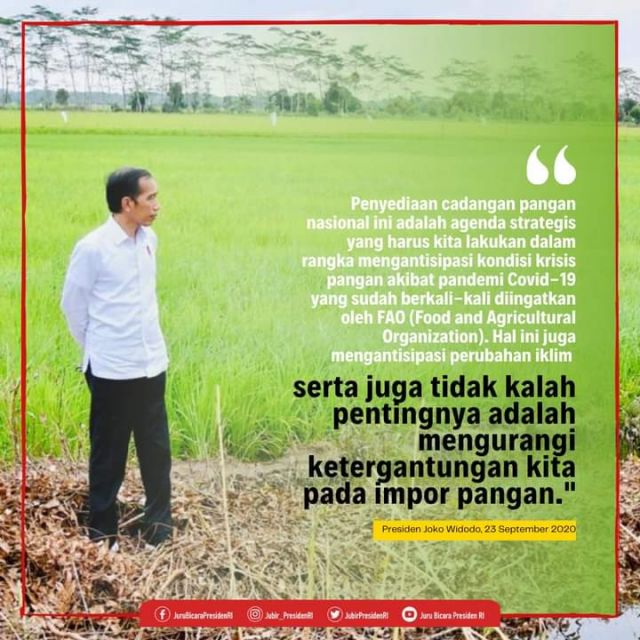 Pimpin Ratas di Istana Negara,Jokowi bahas Lumbung Pangan