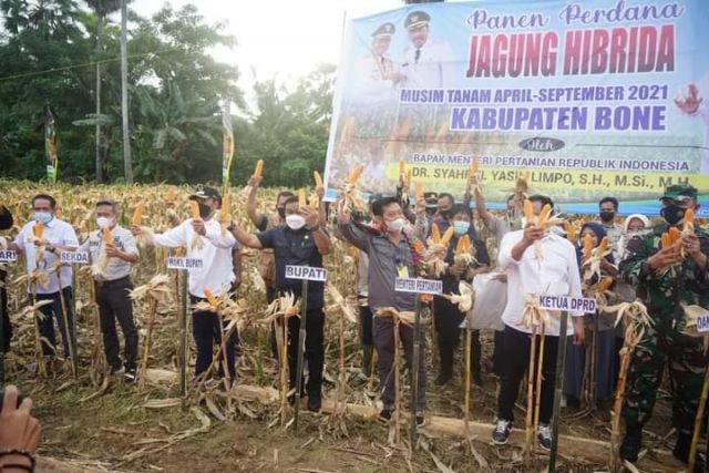 Stok Beras Surplus, Mentan Tegaskan Tak Ada Impor Dan PPN Sembako Umum