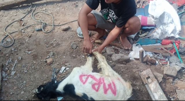 Hukum Berqurban Untuk Keluarga Yang Sudah Meninggal